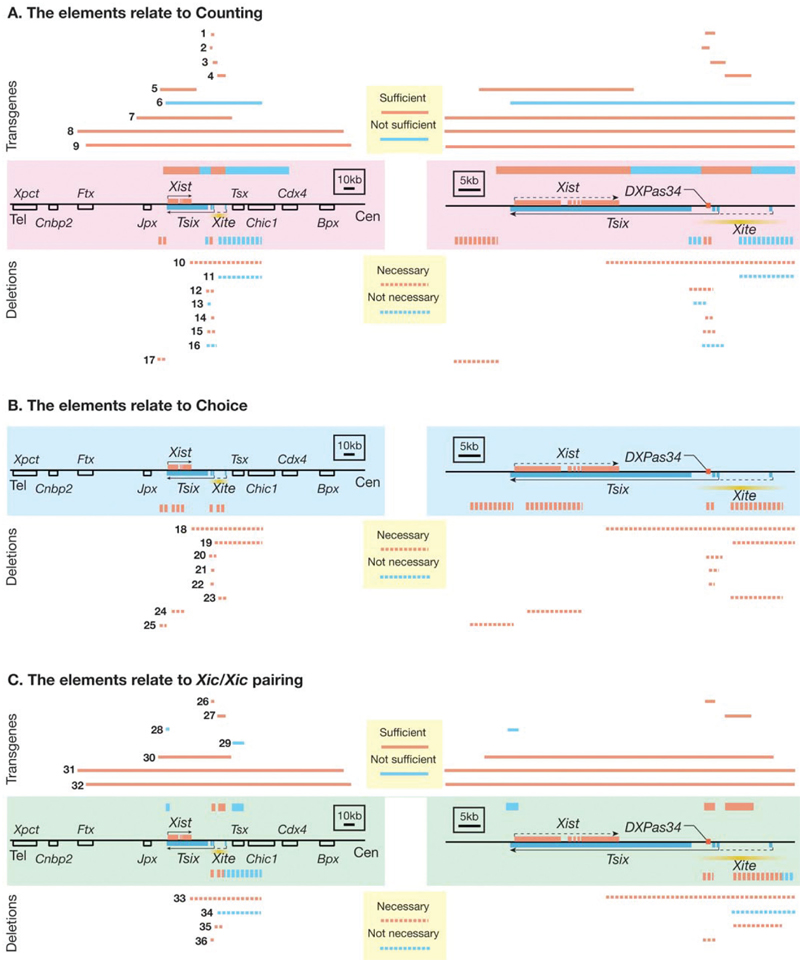 Epigenetics