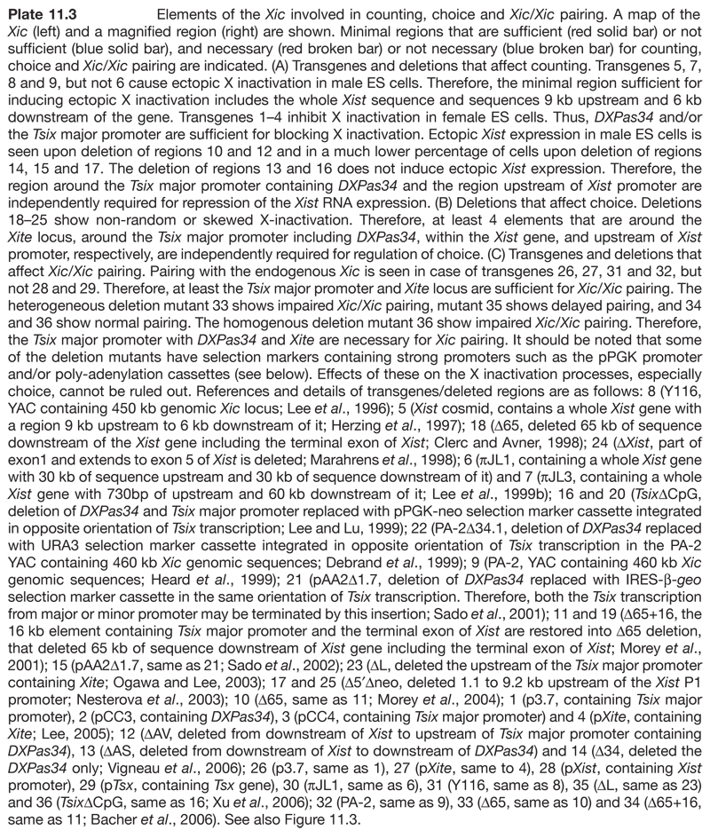 Epigenetics