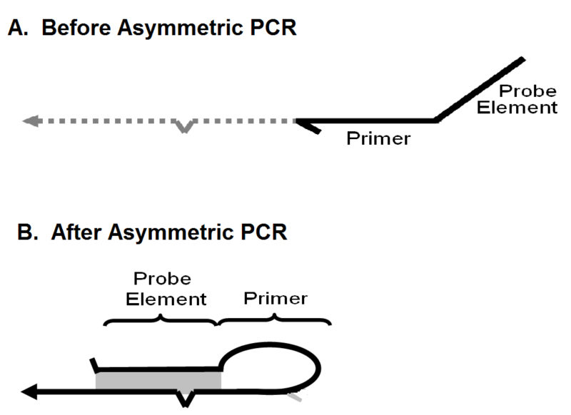 PCR Troubleshooting and Optimization