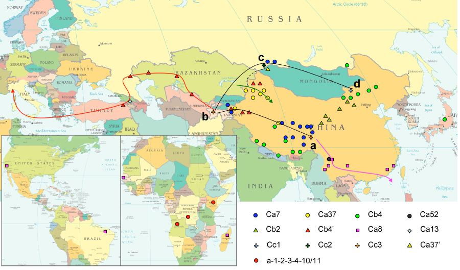 Microbial Population Genetics