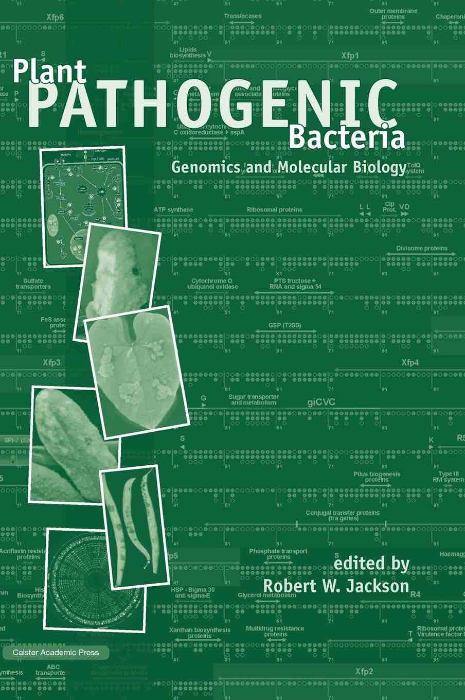Plant Pathogenic Bacteria: Genomics and Molecular Biology
