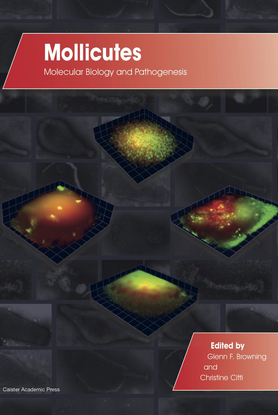 Mollicutes: Molecular Biology and Pathogenesis