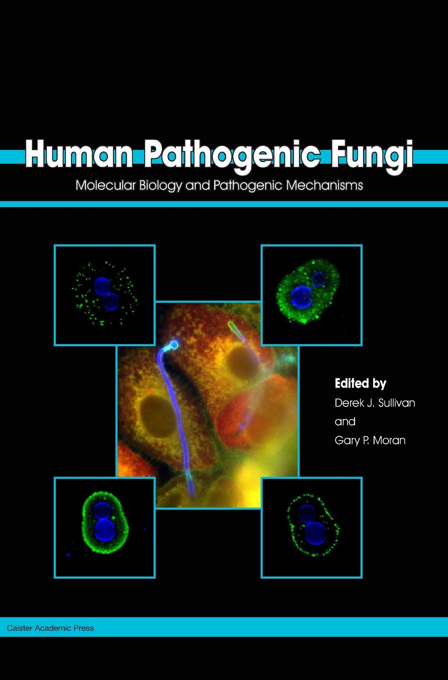 Human Pathogenic Fungi book