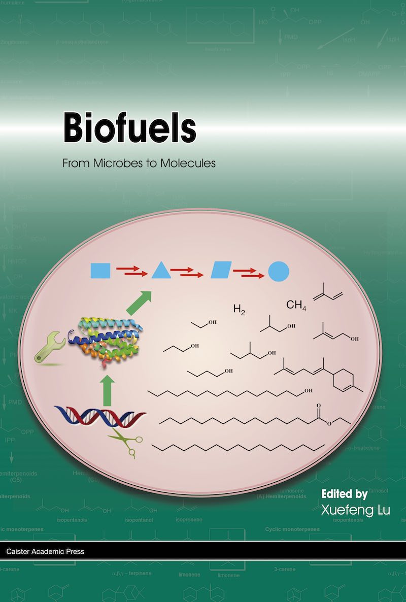 Biofuels: From Microbes to Molecules