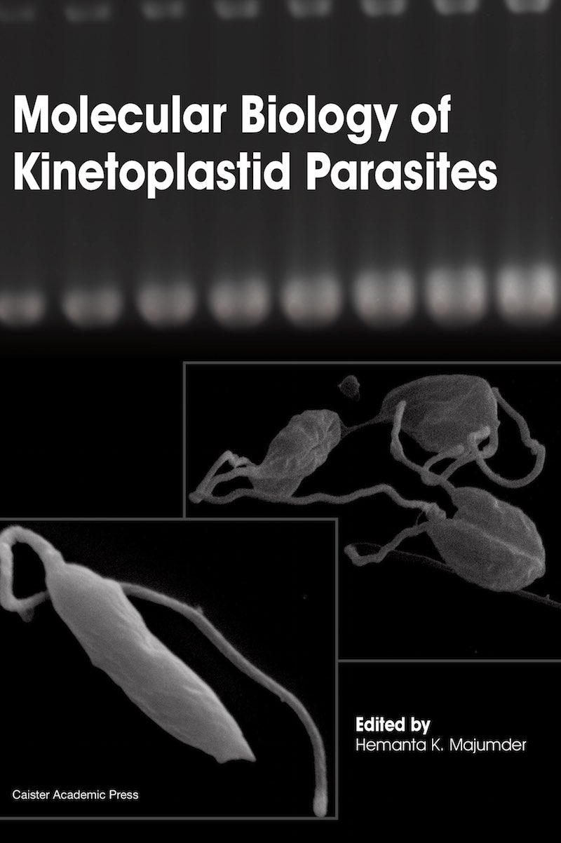 Molecular Biology of Kinetoplastid Parasites