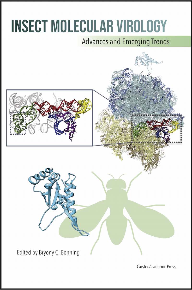 Insect Molecular Virology book