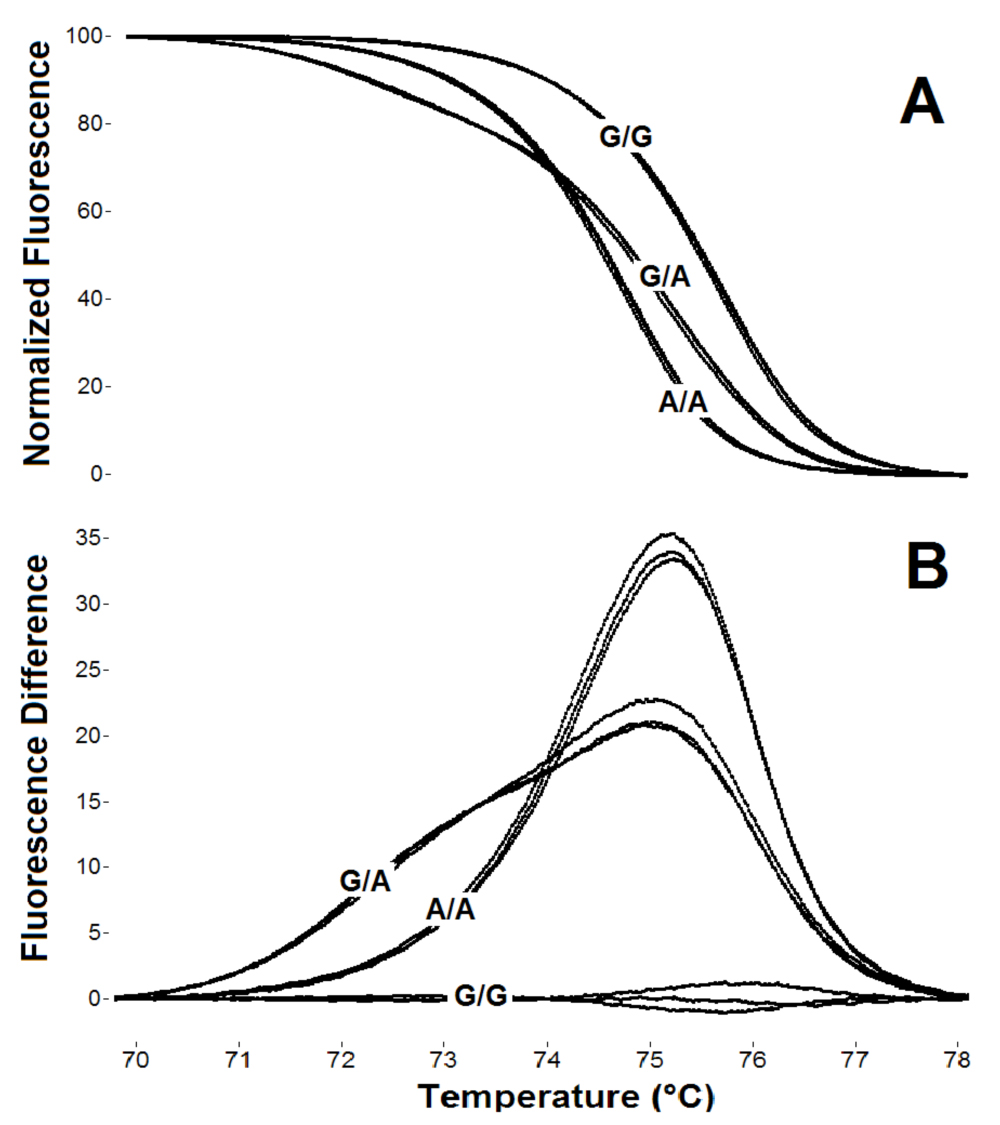 PCR Troubleshooting and Optimization