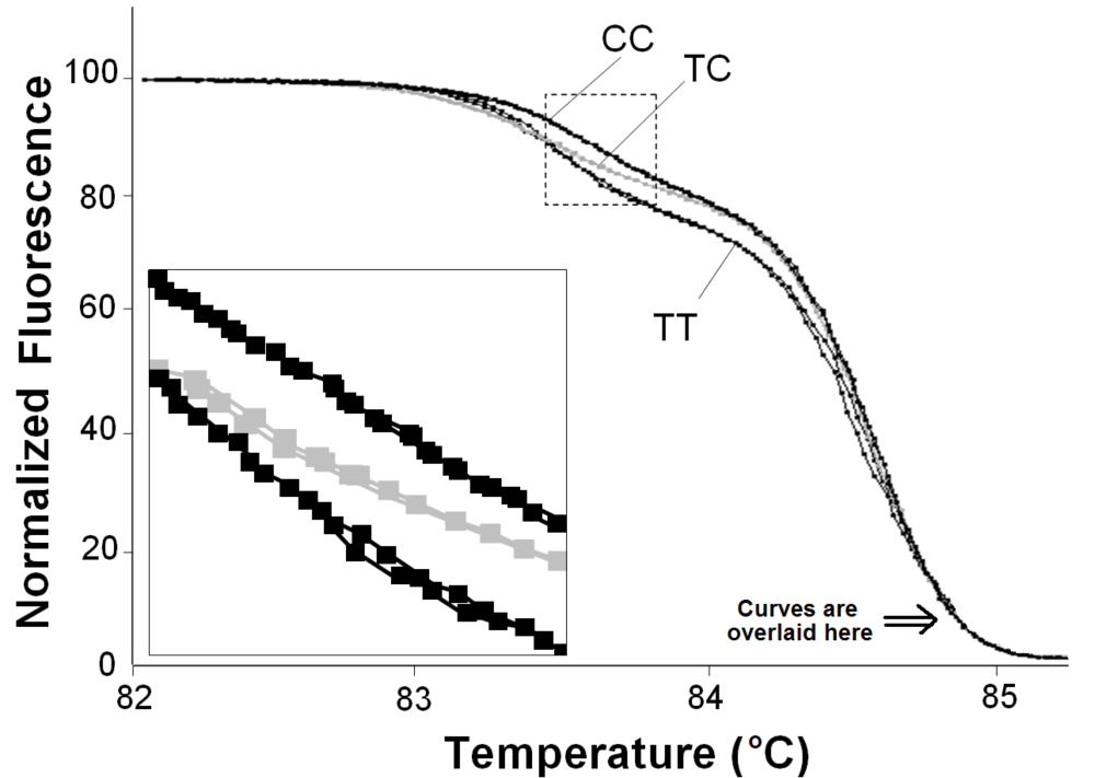 PCR Troubleshooting and Optimization