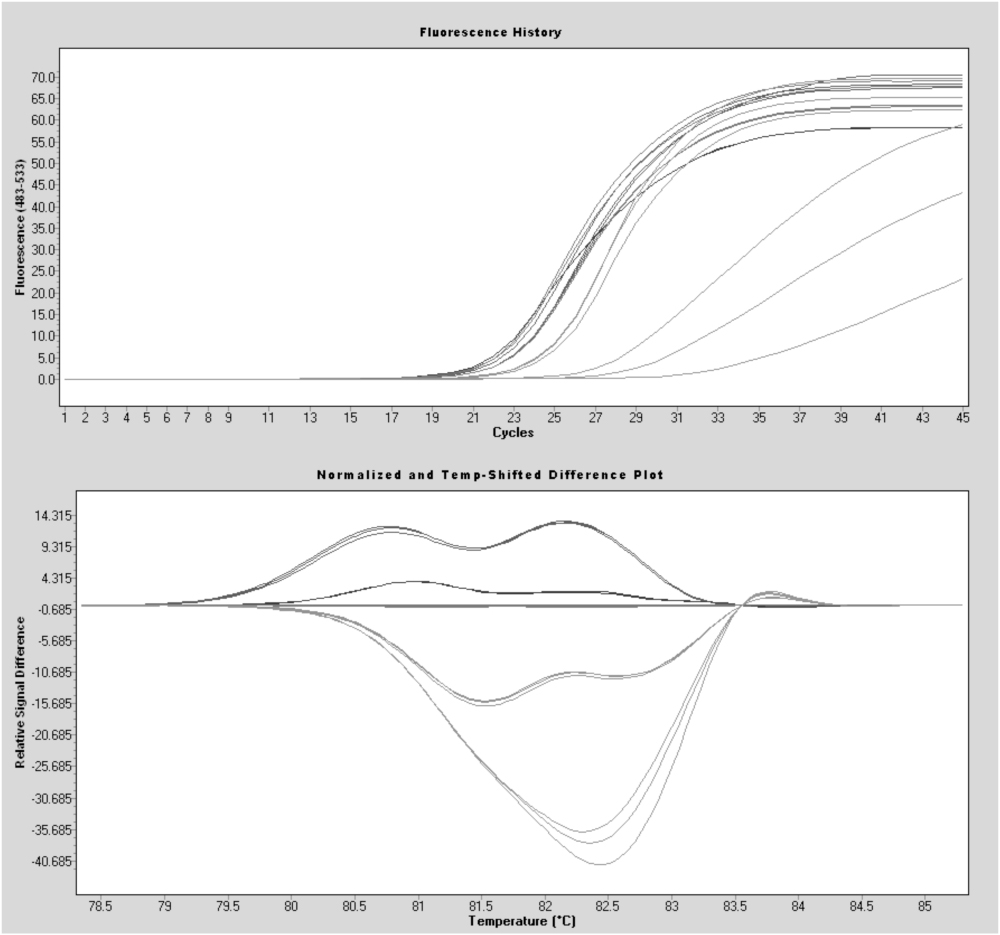 PCR Troubleshooting and Optimization