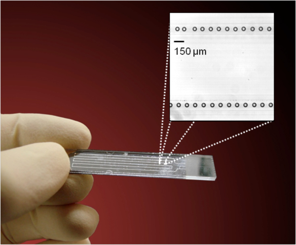 PCR Troubleshooting and Optimization