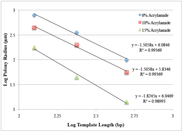 PCR Troubleshooting and Optimization