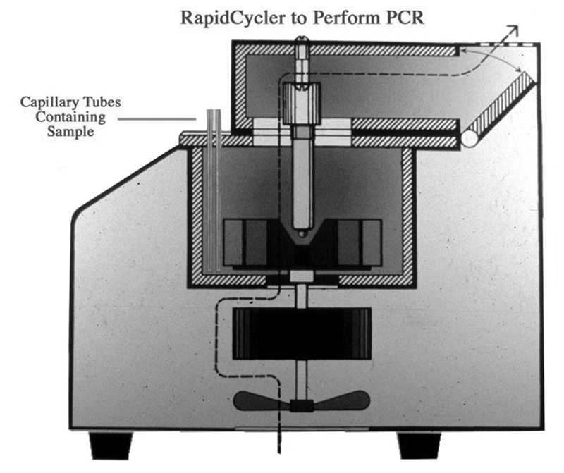 PCR Troubleshooting and Optimization