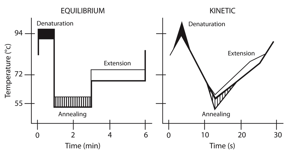 PCR Troubleshooting and Optimization