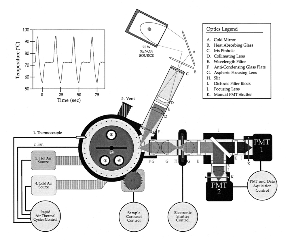 PCR Troubleshooting and Optimization