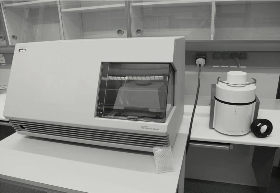 PCR Troubleshooting and Optimization