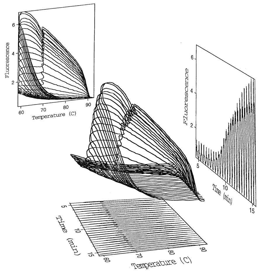 PCR Troubleshooting and Optimization