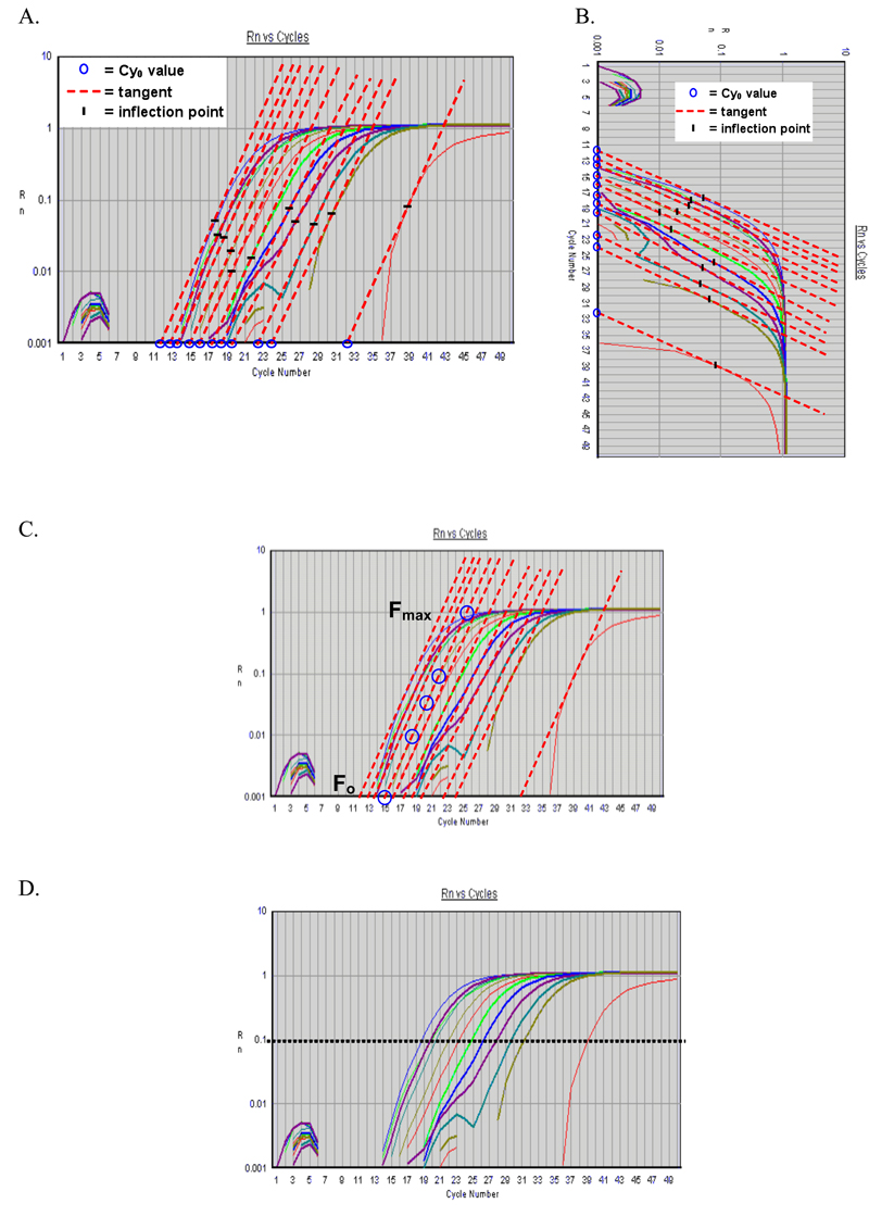 PCR Troubleshooting and Optimization