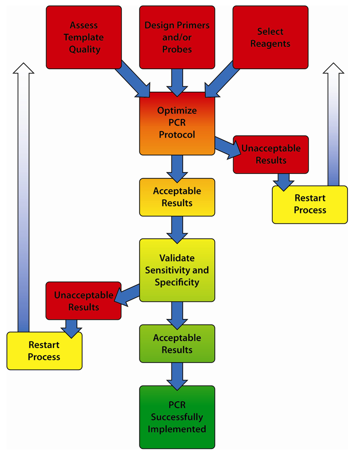 PCR Troubleshooting and Optimization
