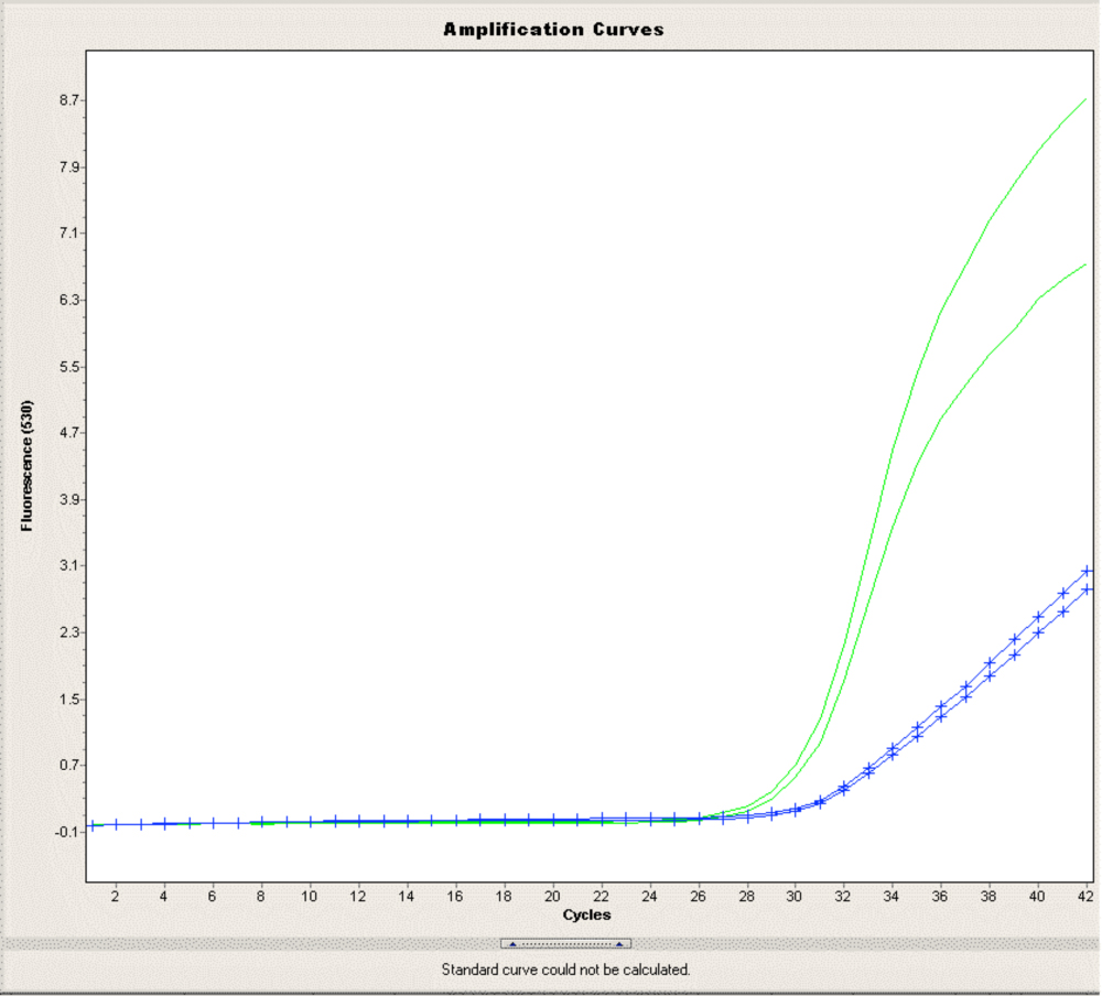 PCR Troubleshooting and Optimization