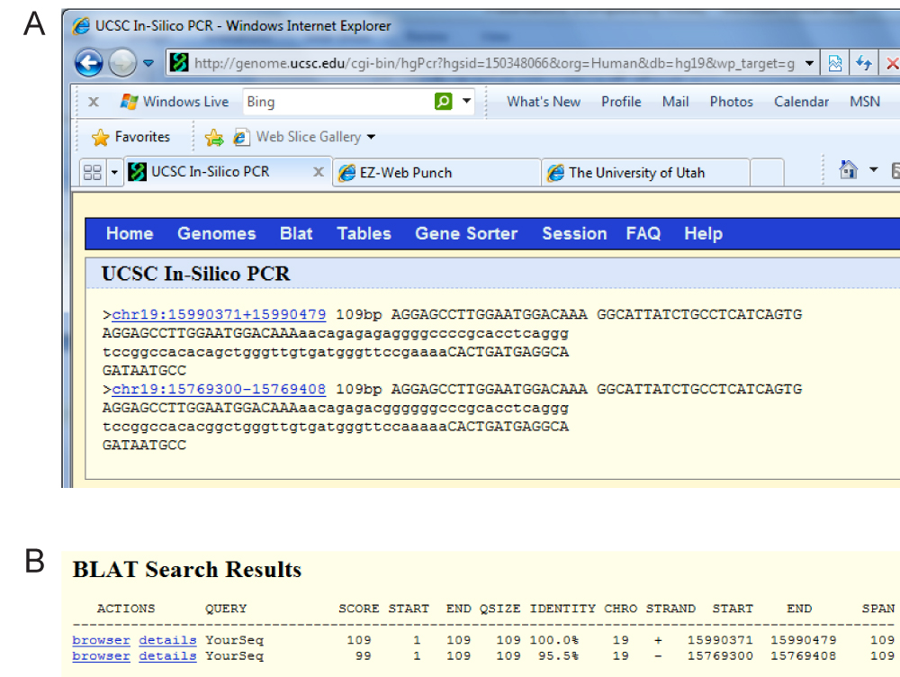 PCR Troubleshooting and Optimization