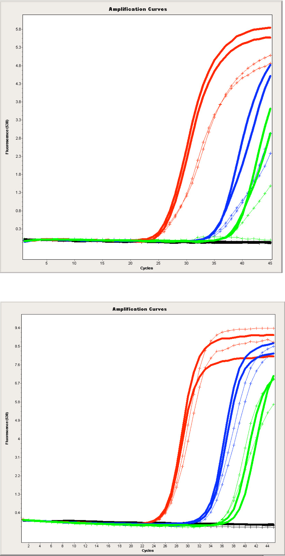 PCR Troubleshooting and Optimization