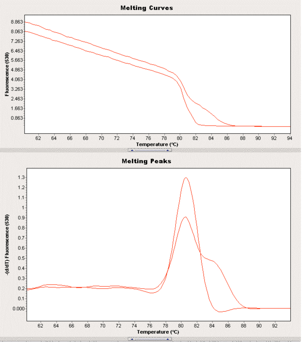 PCR Troubleshooting and Optimization