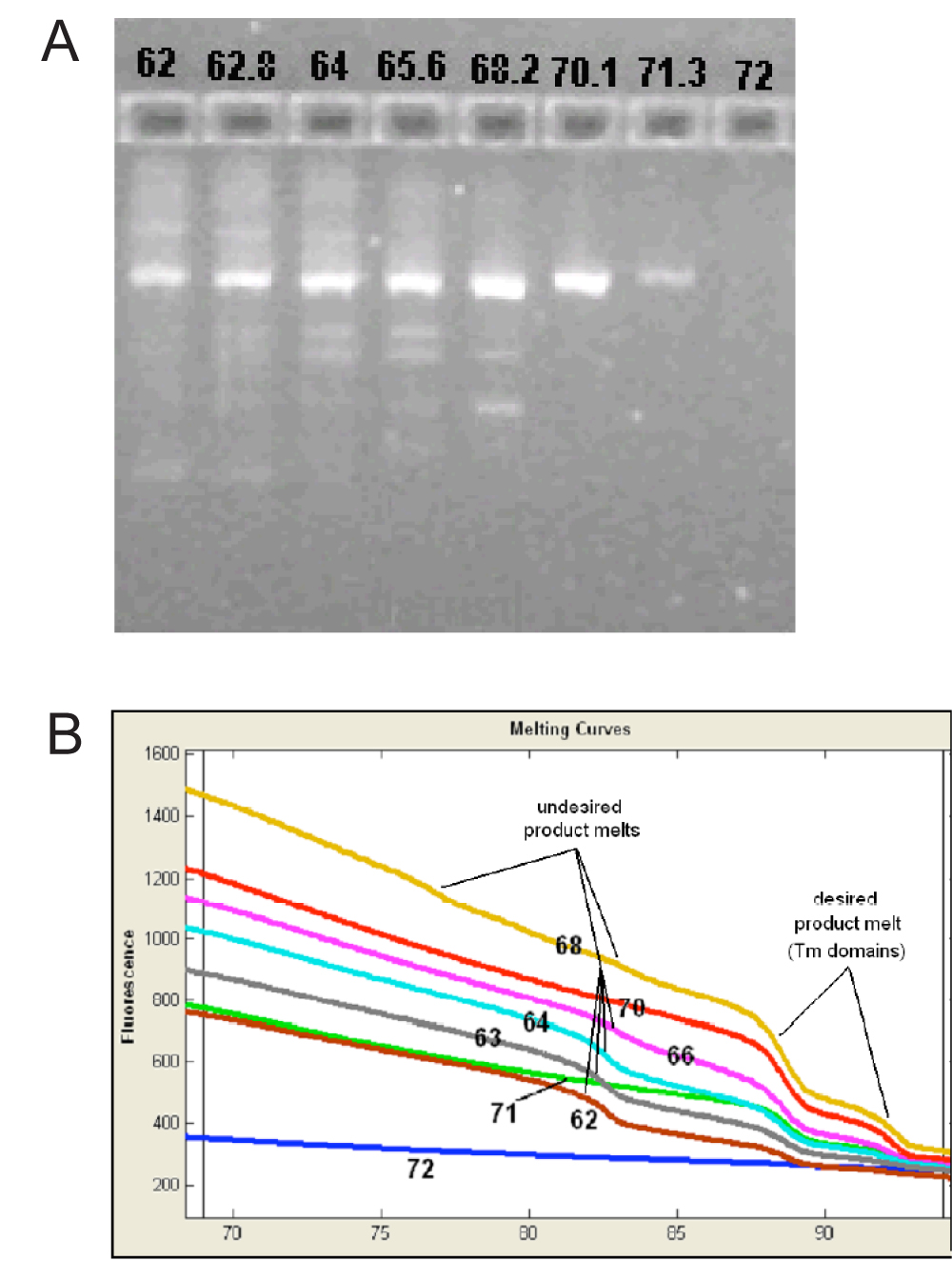 PCR Troubleshooting and Optimization