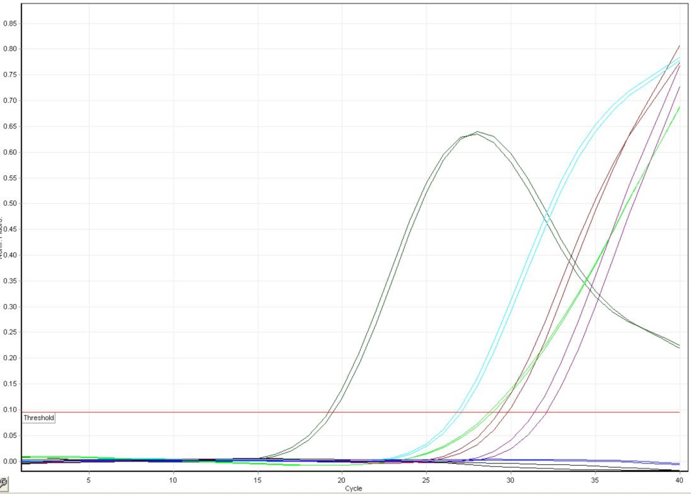 PCR Troubleshooting and Optimization