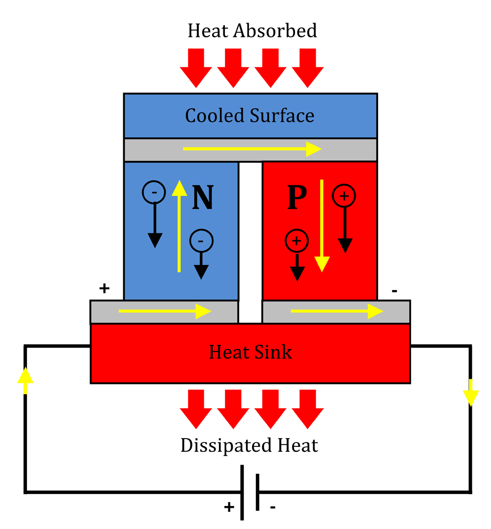 PCR Troubleshooting and Optimization
