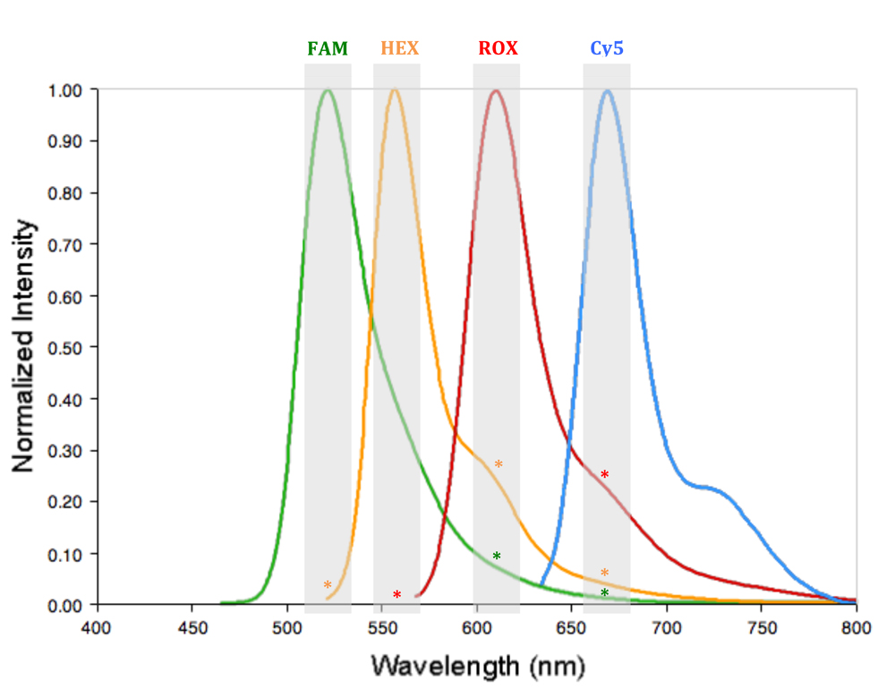 PCR Troubleshooting and Optimization