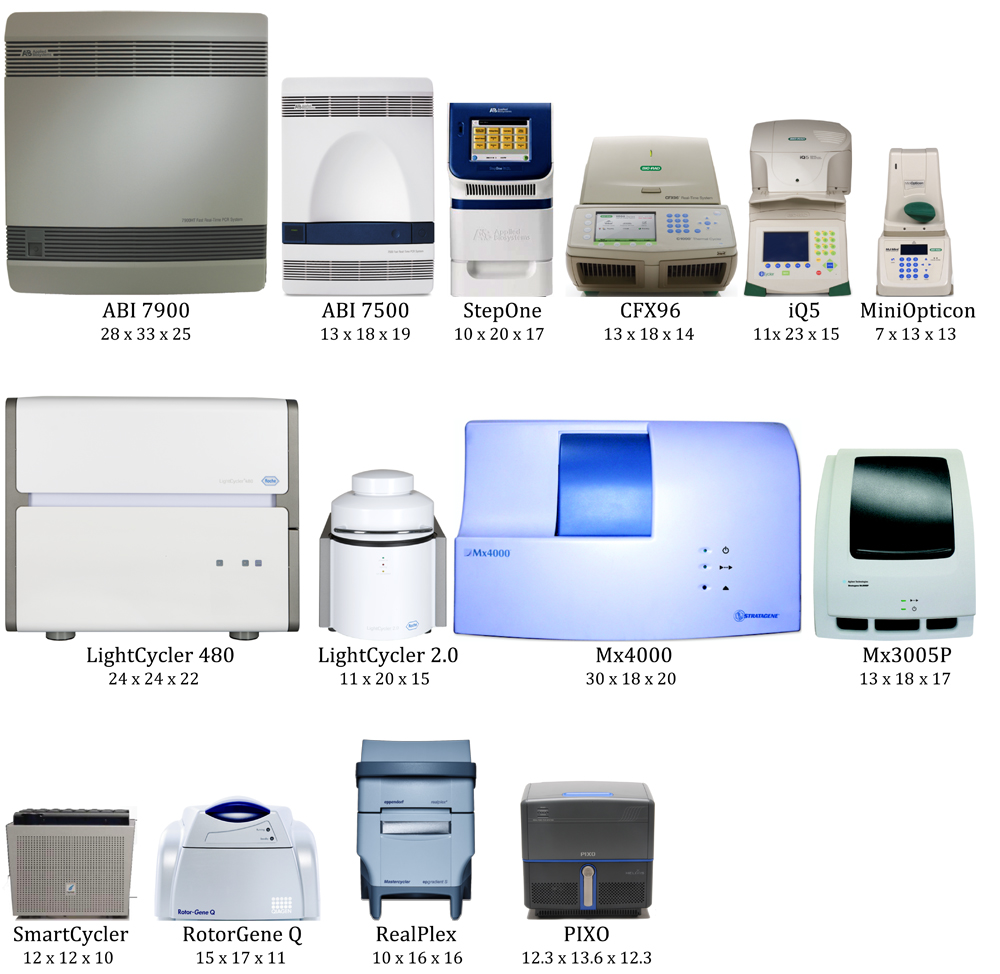 PCR Troubleshooting and Optimization