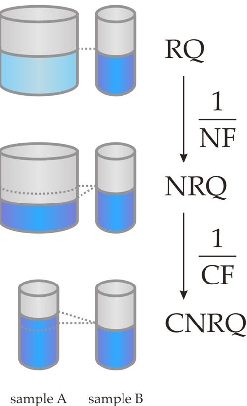 PCR Troubleshooting and Optimization