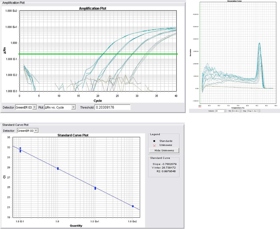 PCR Troubleshooting and Optimization