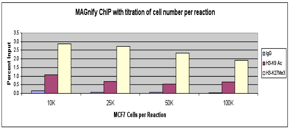 PCR Troubleshooting and Optimization
