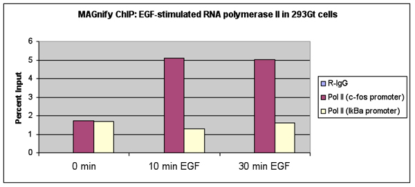 PCR Troubleshooting and Optimization