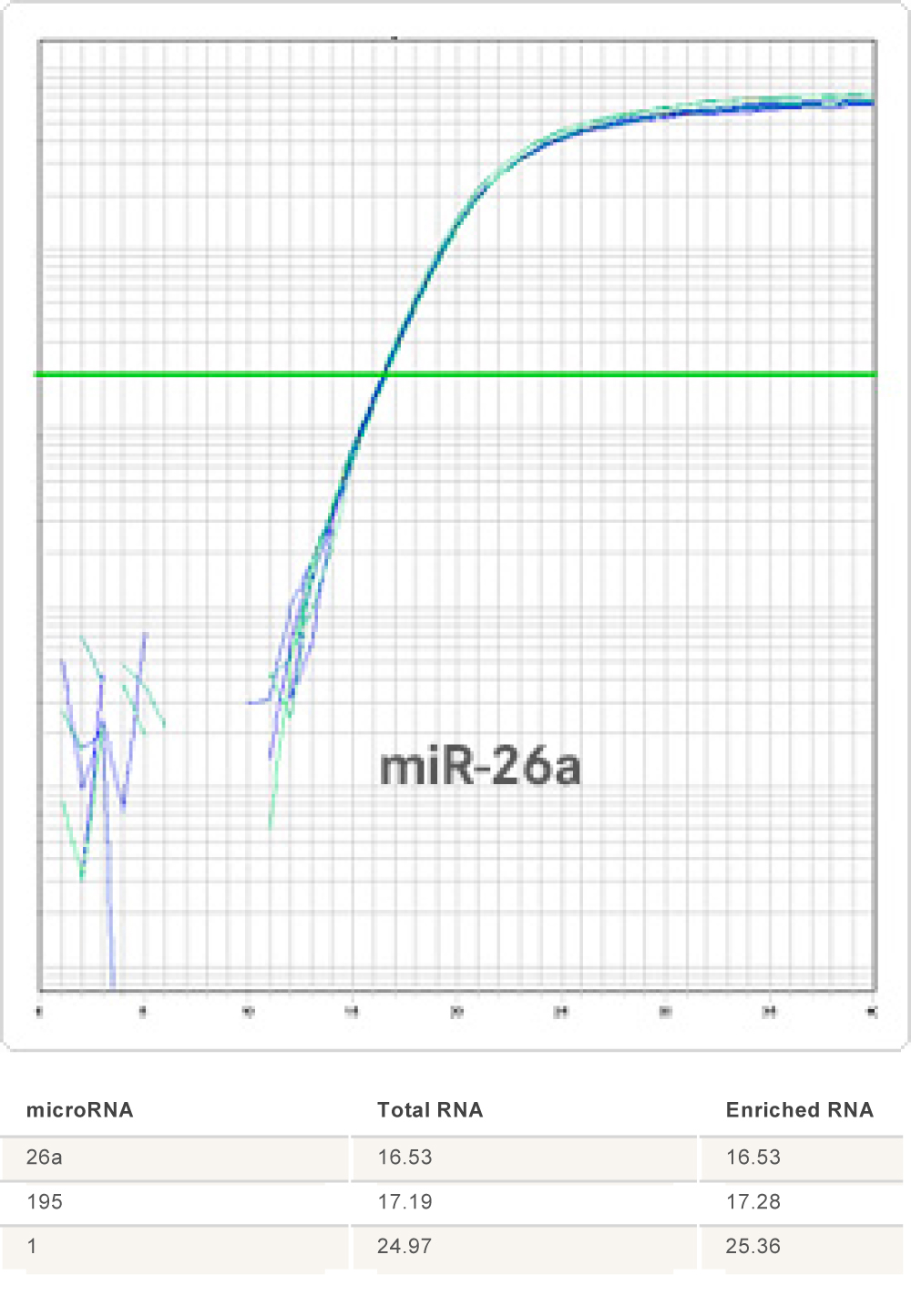 PCR Troubleshooting and Optimization