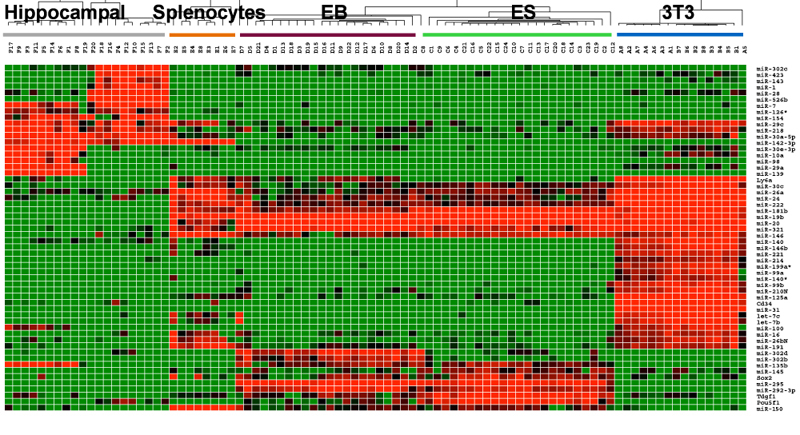 PCR Troubleshooting and Optimization