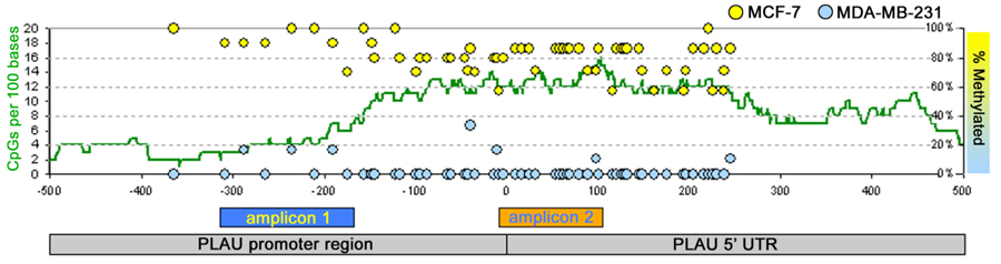 PCR Troubleshooting and Optimization