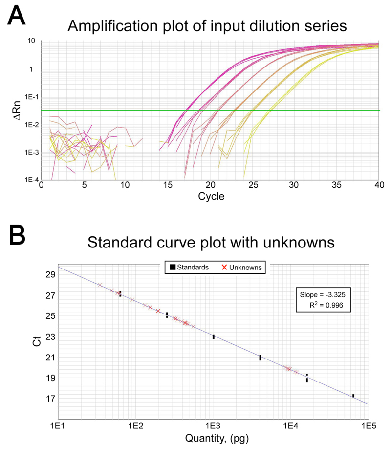 PCR Troubleshooting and Optimization